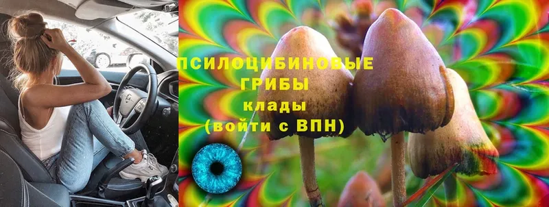 Галлюциногенные грибы MAGIC MUSHROOMS  где продают наркотики  Анива 